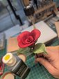 rose thumb