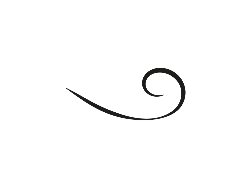Image CV-Decorative_70.png