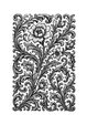 GLC-Floral 8 thumb