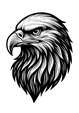 GLC Eagle 1 thumb