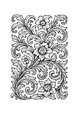 GLC Floral 13 thumb