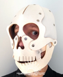 NC-Skull thumb